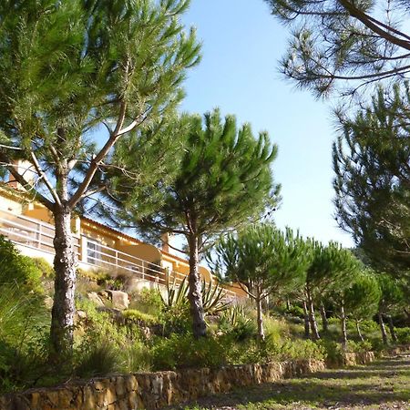 Apartmán Quinta Raposeiros Santo Isidoro Exteriér fotografie