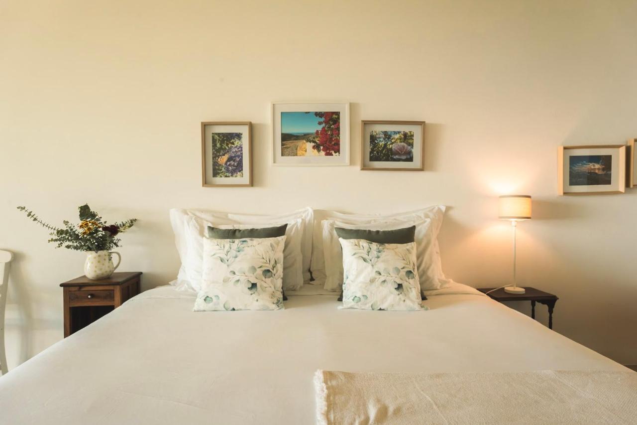 Apartmán Quinta Raposeiros Santo Isidoro Exteriér fotografie