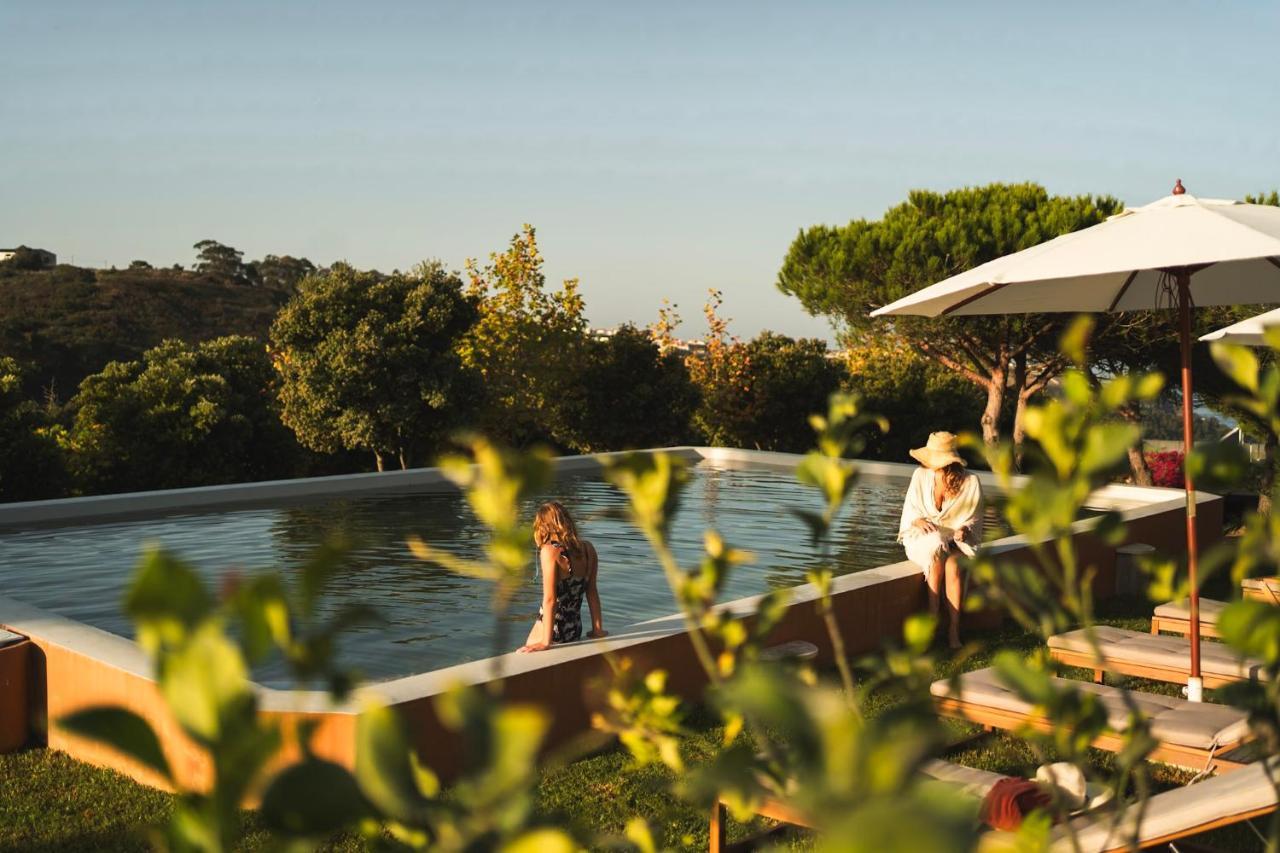 Apartmán Quinta Raposeiros Santo Isidoro Exteriér fotografie