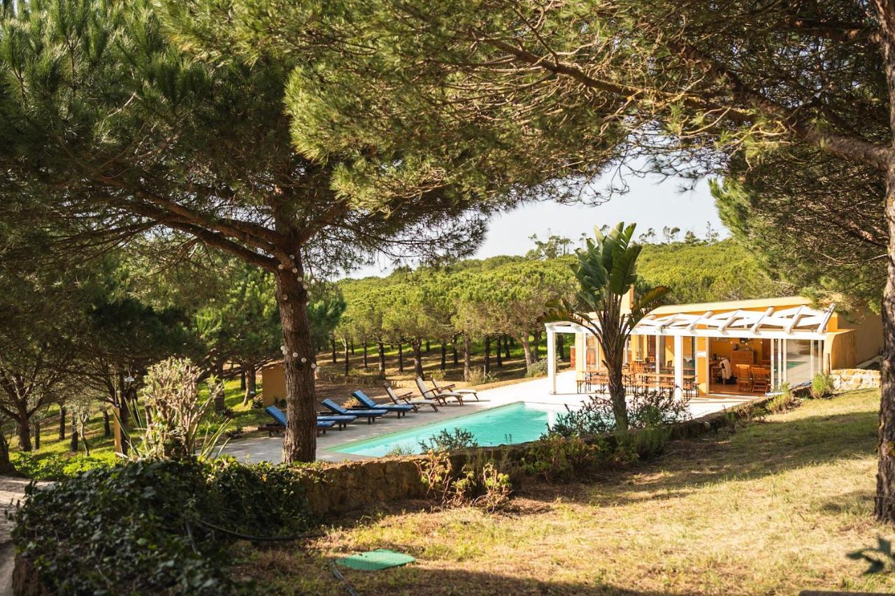Apartmán Quinta Raposeiros Santo Isidoro Exteriér fotografie
