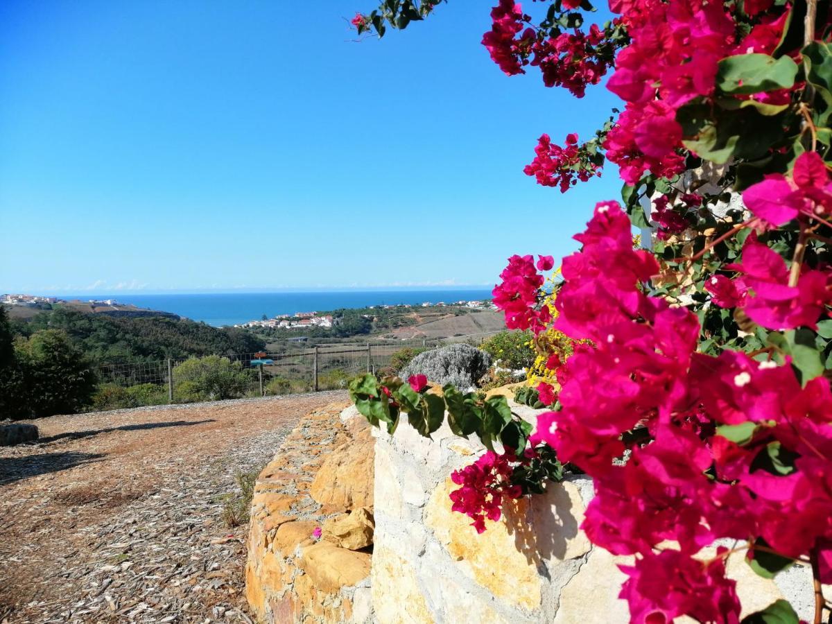 Apartmán Quinta Raposeiros Santo Isidoro Exteriér fotografie