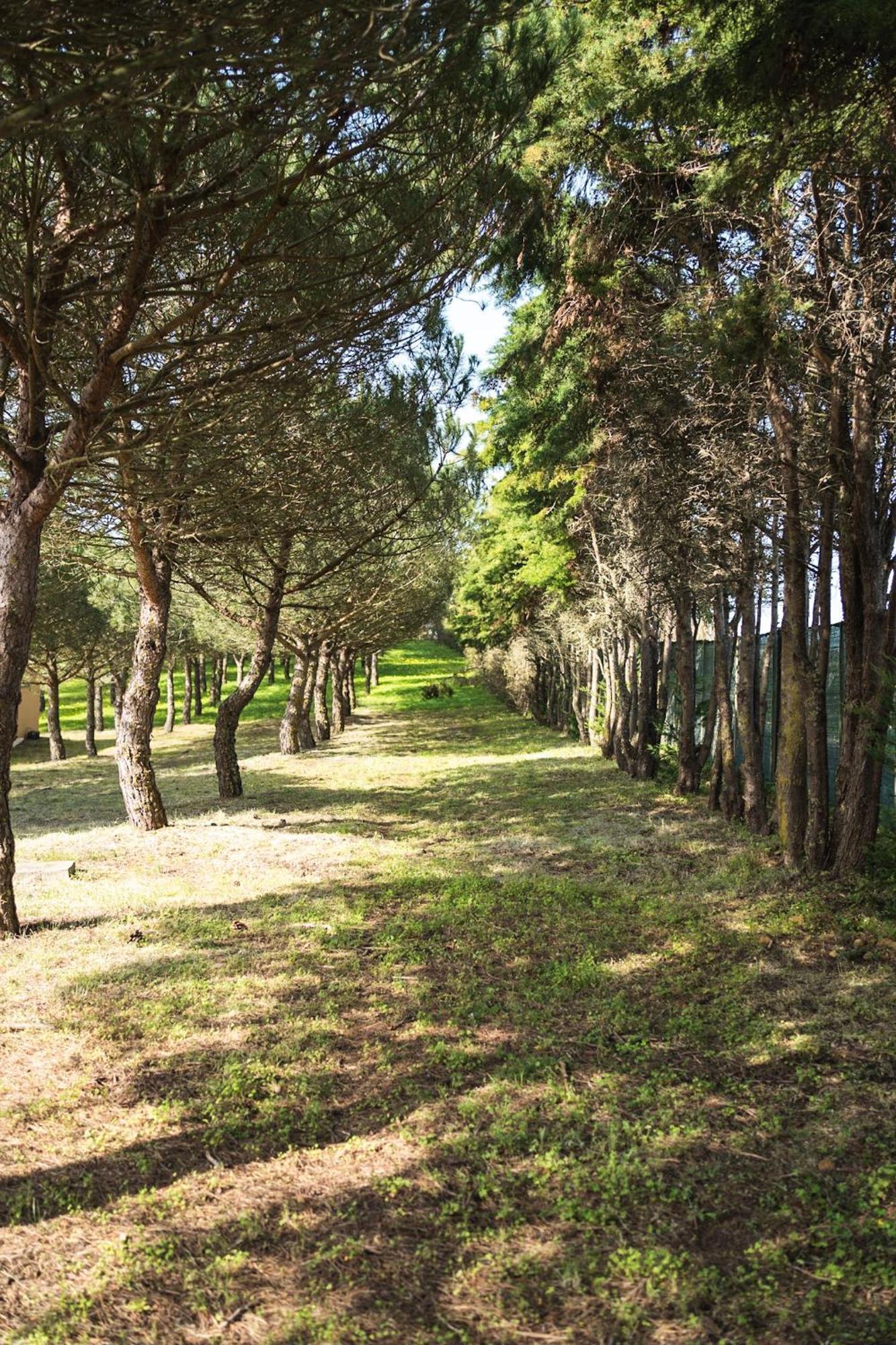 Apartmán Quinta Raposeiros Santo Isidoro Exteriér fotografie