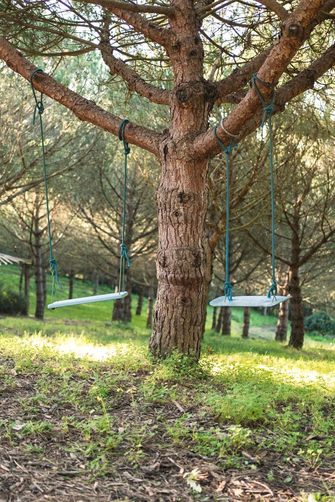 Apartmán Quinta Raposeiros Santo Isidoro Exteriér fotografie