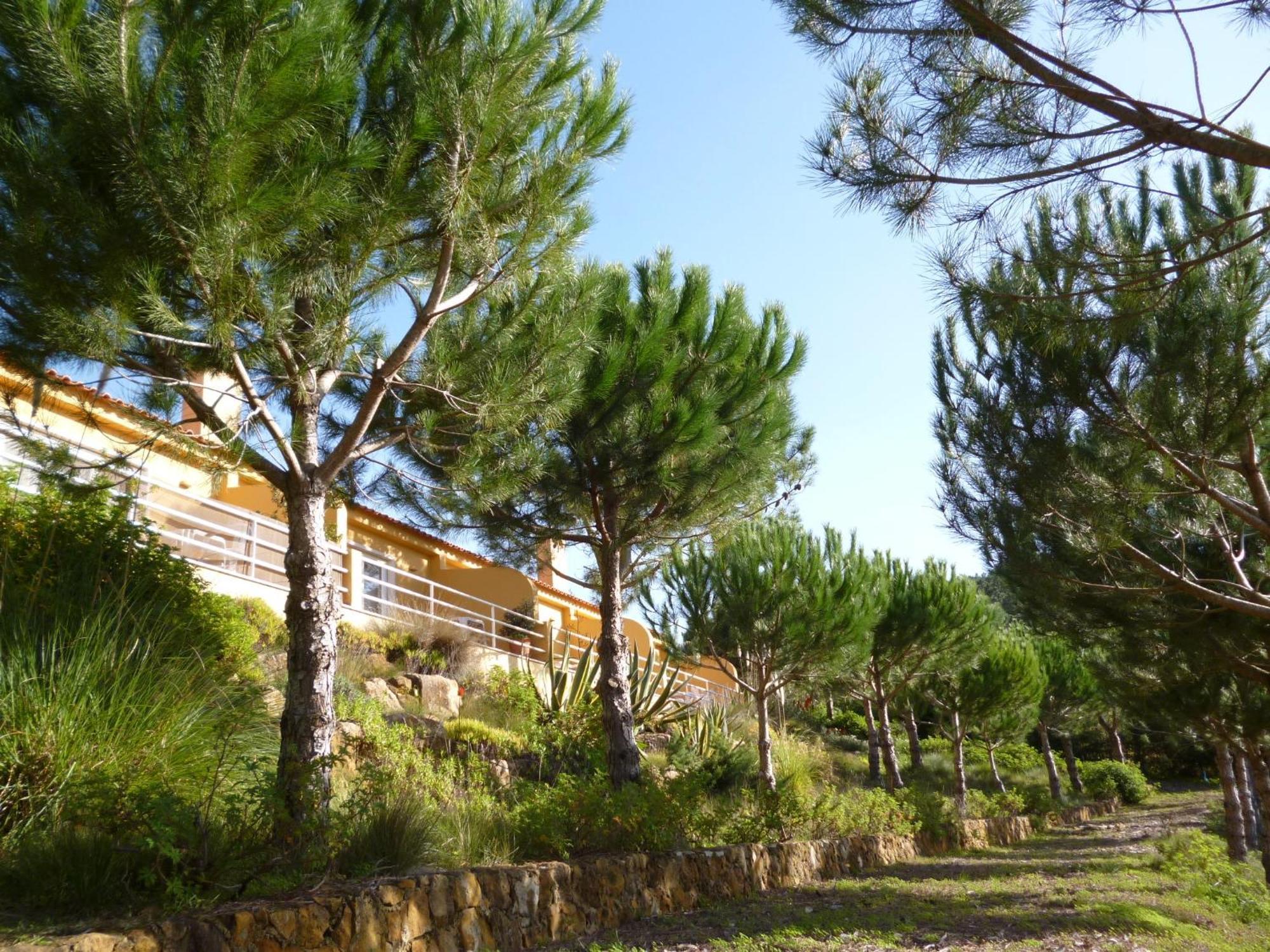 Apartmán Quinta Raposeiros Santo Isidoro Exteriér fotografie
