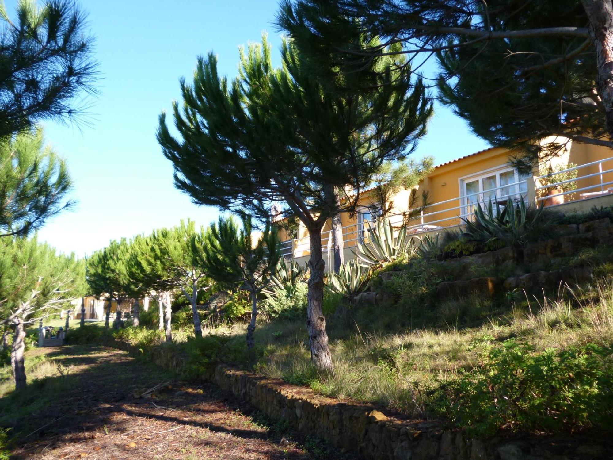 Apartmán Quinta Raposeiros Santo Isidoro Exteriér fotografie