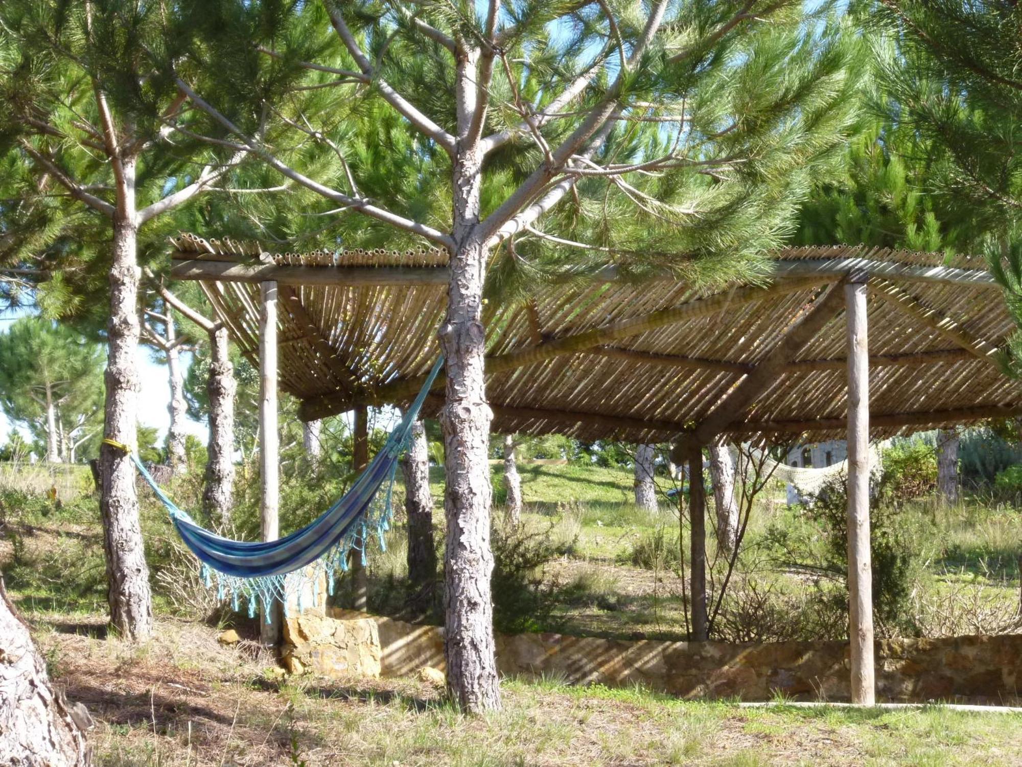 Apartmán Quinta Raposeiros Santo Isidoro Exteriér fotografie