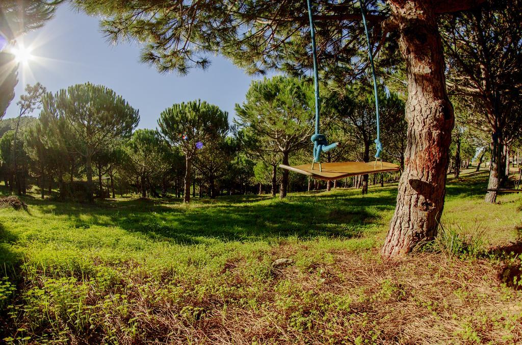 Apartmán Quinta Raposeiros Santo Isidoro Exteriér fotografie